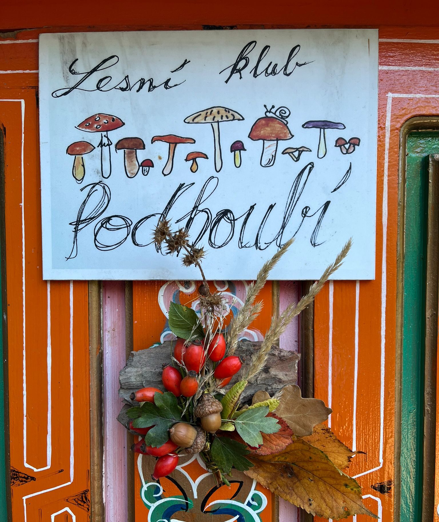 Lesní školka Praha 4 / Praha 10 / Praha 11 Lesní klub Podhoubí